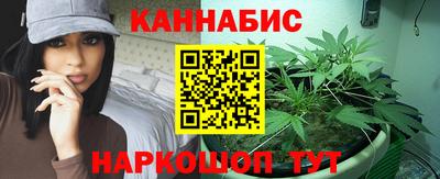 крисы Новодвинск