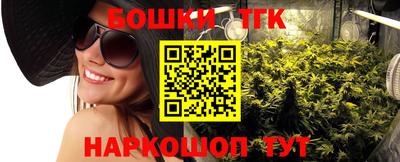 крисы Новодвинск