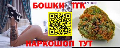 крисы Новодвинск