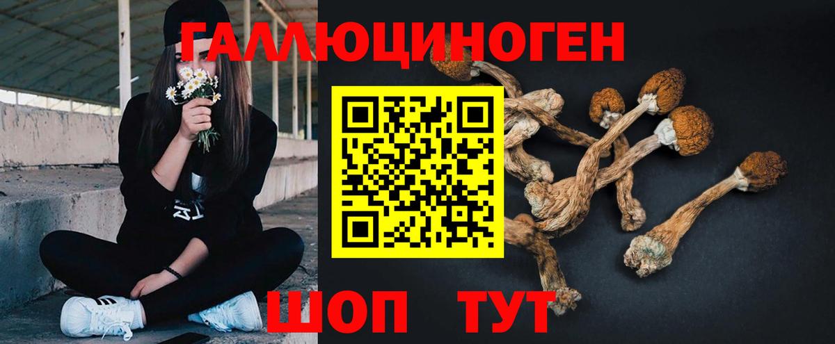 Псилоцибиновые грибы ЛСД  Псилоцибиновые грибы Psilocybine cubensis  Рузаевка  Вход с VPN 